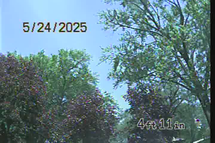Frame